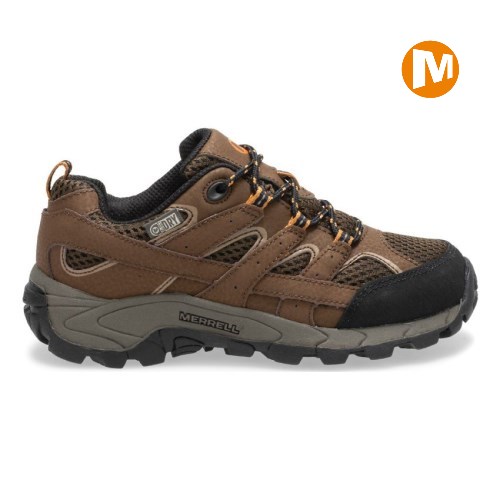 Dětské Tenisky Merrell Moab 2 Low Lace Waterproof Tmavě Hnědé (CZ. NXHCP)